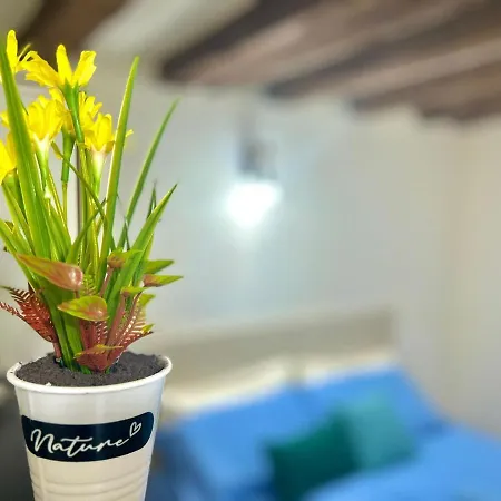 Zar - 2 Apartment *